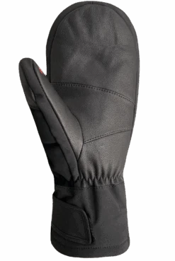 Avalanche Mitts - Adult -Auclair Sales Store 2G824 8009 p