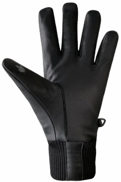 Snow Ops Gloves - Adult -Auclair Sales Store 2J068 8000 p