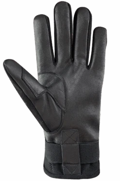 Skater Gloves - Men 12 Skater Gloves - Men -Auclair Sales Store 2L321 9000 p