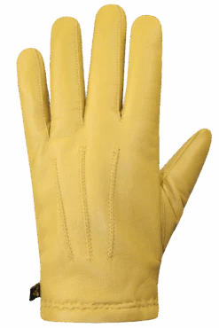 Wayne Gloves - Men -Auclair Sales Store 6F066 1337 b