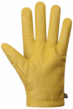 Wayne Gloves - Men -Auclair Sales Store 6F066 1337 p