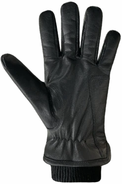 Aiden Gloves - Men 9 Aiden Gloves - Men -Auclair Sales Store 6G270 0000 p