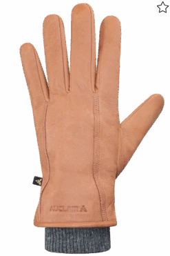 Aiden Gloves - Men