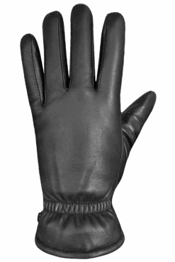 Demi Gloves - Women -Auclair Sales Store 7G004 0000 b