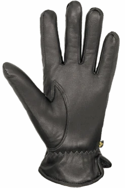 Sportster Gloves - Women -Auclair Sales Store 7G228 0000 p