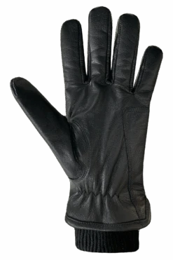 Aya Gloves - Women 9 Aya Gloves - Women -Auclair Sales Store 7G270 0000 p