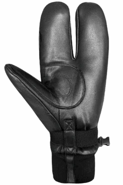 WWPB Gigatex 2-Finger Mitts - Women -Auclair Sales Store WWBPgigatex4 91972690 50e1 4961 93e5 7320d4f56657