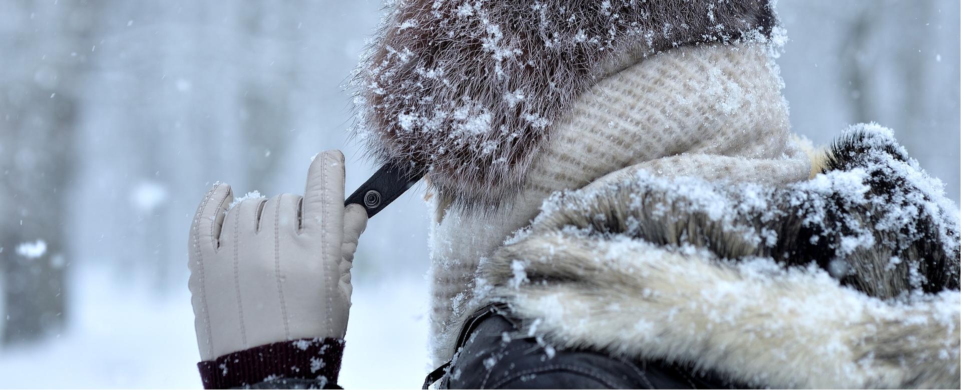 Auclair Sales Store -Auclair Sales Store gloves 4898149 1920