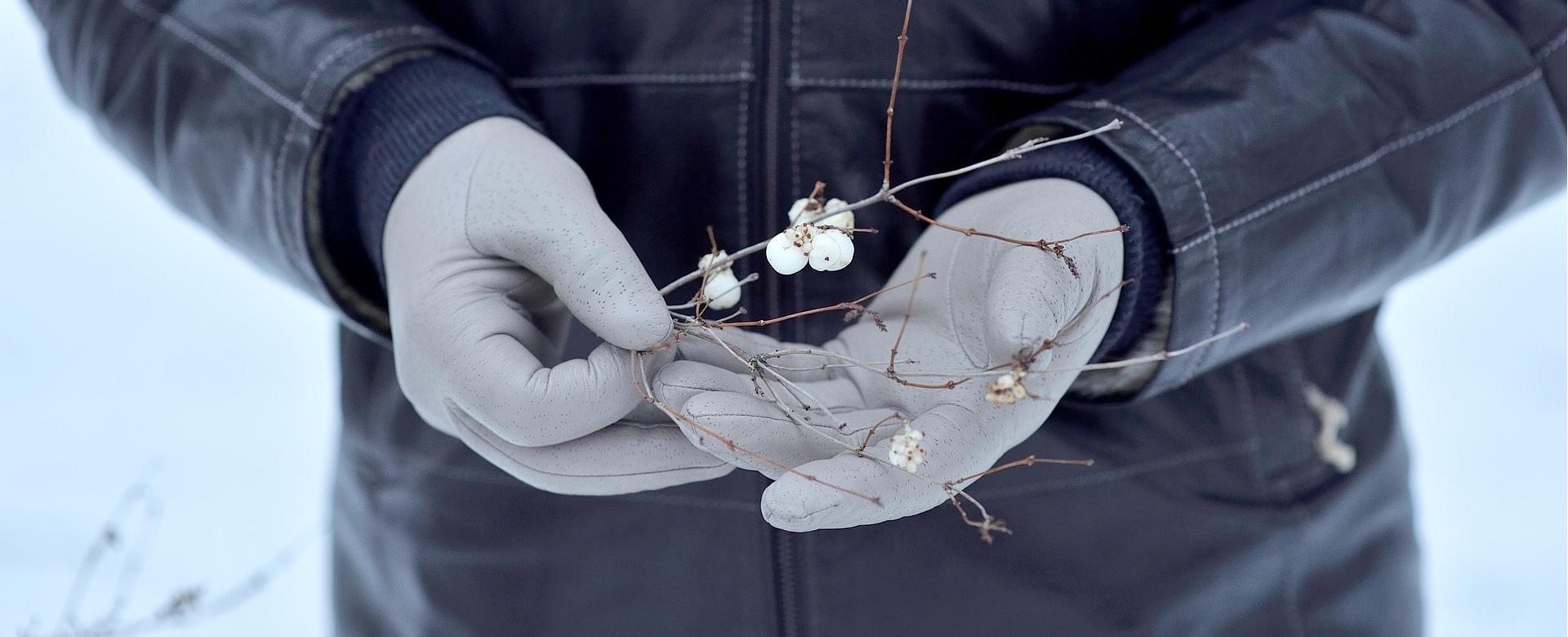 Auclair Sales Store -Auclair Sales Store white gloves 4809864 1920